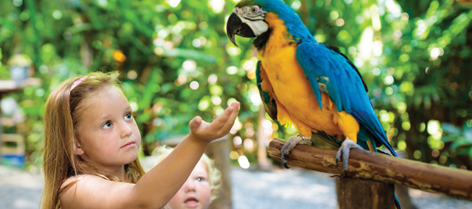 Sortie aux zoo-Les mots polysyllabiques