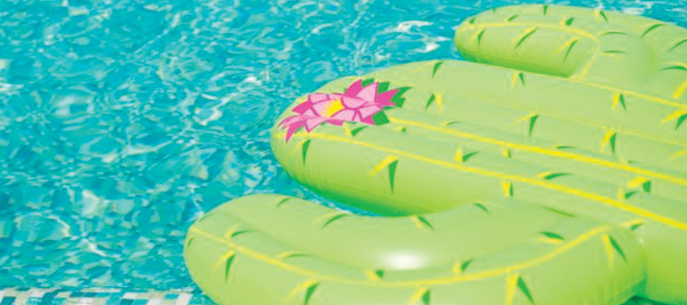 Le cactus piquant : jeux moteurs