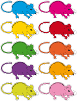 Souris multicolores