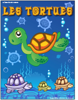 Tortue-2