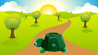 Tortue de coter Tortue de coter