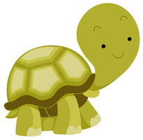Touché la tortue Touché la tortue