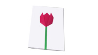 Tulipe-Origami-014 Tulipe-Origami-014