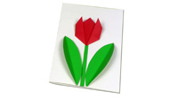 Tulipe-Origami-020 Tulipe-Origami-020