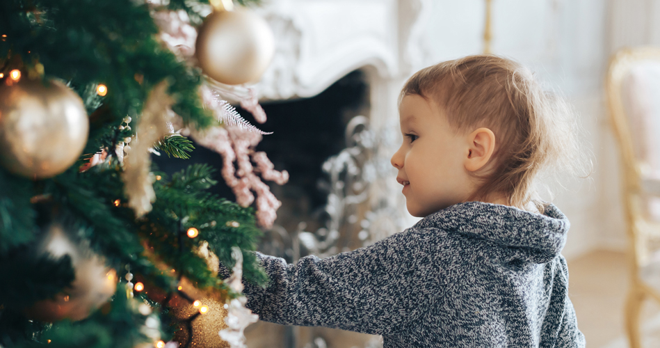 Un sapin de Noël en cinq étapes