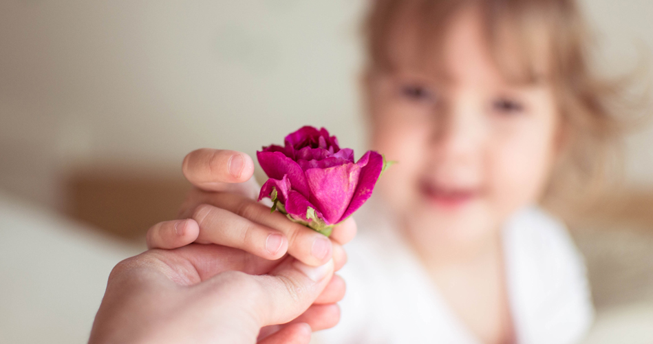 Une rose qui ne fanera pas