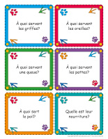 cartes questions causerie-Animalerie