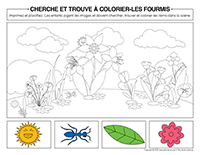 cherche et trouve a colorier-Fourmis