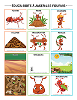 educa-boite a jaser-Fourmis