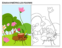 educa-symetrie-Fourmis