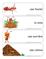 etiquettes-mots-geants-Fourmis-1