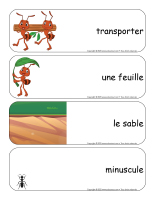 etiquettes-mots-geants-Fourmis-2