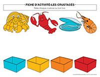 fiches dactivite-Crustaces