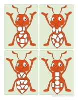 fourmis-formes