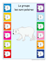 identification groupe interactif-Ours polaires