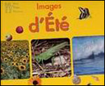Images d’été Images d’été