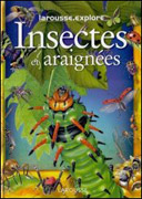 Insectes et araignées Insectes et araignées