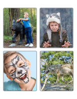 jeu d'images-Loups-1