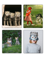 jeu d'images-Loups-2