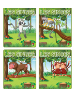 jeu d’images-Singes-1