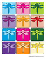 libellules multicolores libellules multicolores