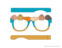 lunettes-Coquillages