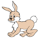 Jeu – La queue du lapin