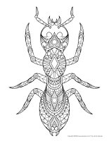 mandalas-Fourmis