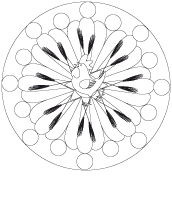 mandalas-L'agriculture mandalas-L'agriculture