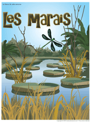 Affiche thématique - Les marais