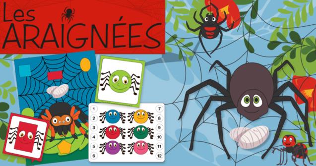 Araignées
