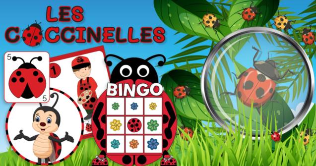 Coccinelles