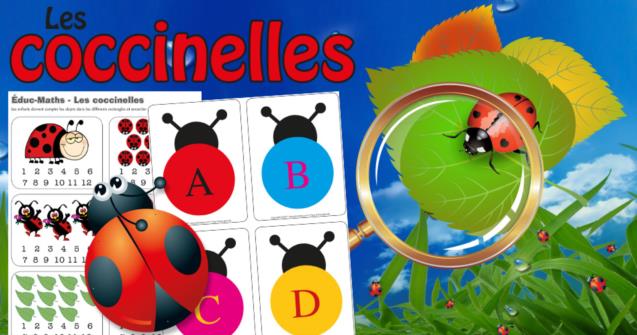 Coccinelles