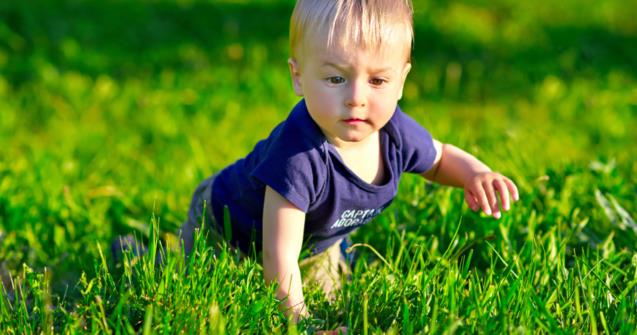 Enrichir les verbes en jouant avec le gazon