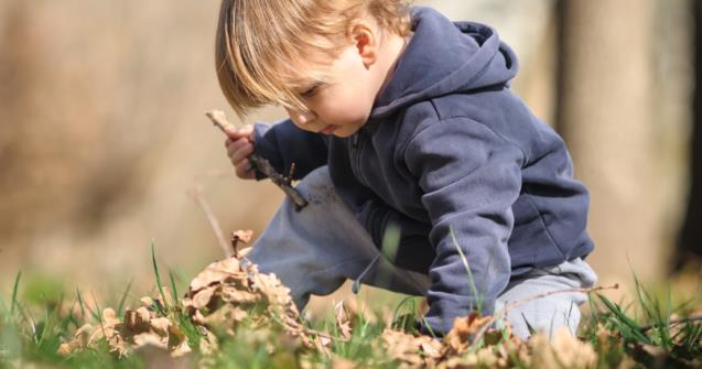 Éveiller les tout-petits à l�environnement