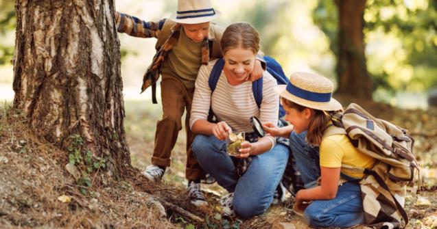 Lapprentissage libre par la nature : le rôle de ladulte