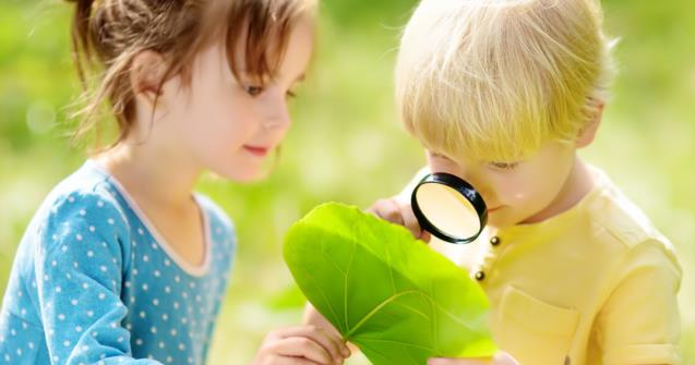 Mon intérêt : la nature