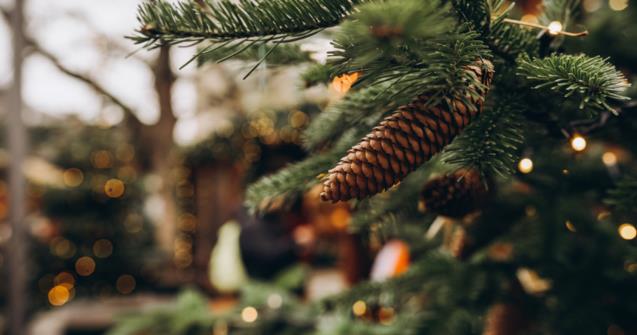 Un Noël dans la nature, version calendrier de lavent