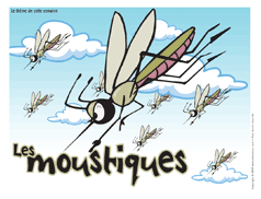 Affiche thémagique - Les moustiques
