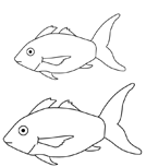 Pêche sur la glace - Poissons