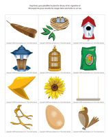 Ouvrir jeu de la loupe – les oiseaux