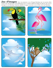 Ouvrir jeu d’images- les oiseaux