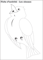 Les Oiseaux Activités Pour Enfants Educatout