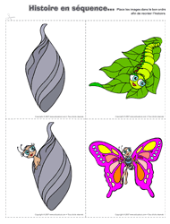 Ouvrir histoire de séquences les insectes