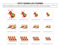 petit-grand-Fourmis
