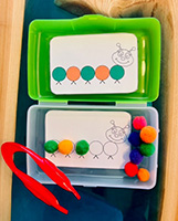photo-pompons