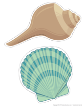 Ouvrir Coquillages