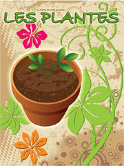 Affiche thématique Les plantes