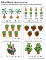 Ouvrir-éduc-maths les plantes