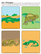 Ouvrir jeu d’images- Les reptiles